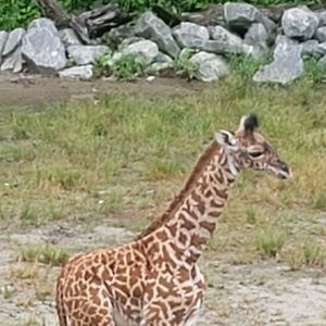 Meet your Posher, Beth